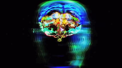 The Butterfly Effect - Perception Twin