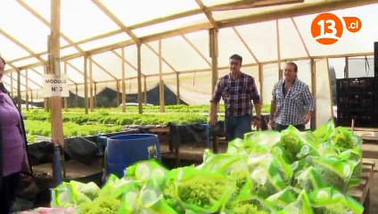 Recomiendo Chile 2015 C17 San Antonio