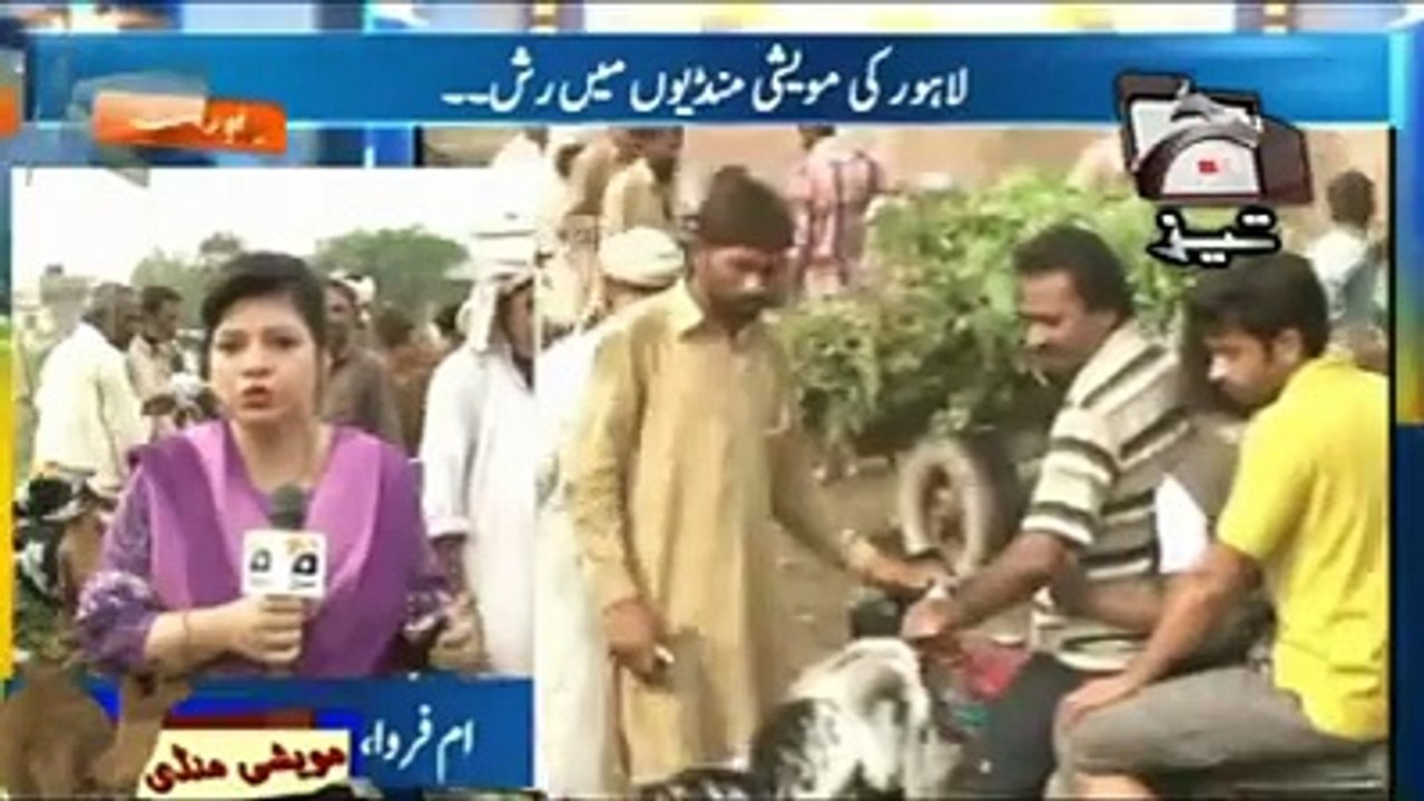 Bakra Mandi Rate Eid Tezabi Totay