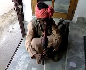 Been Sound Snake dance at Been Sound HD Video