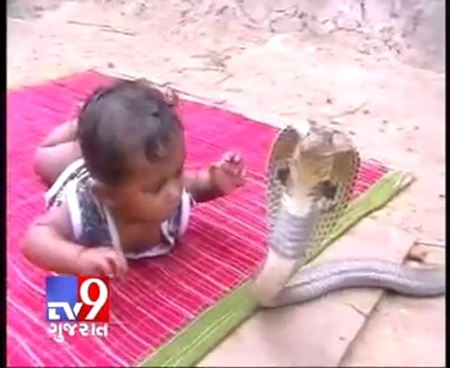 Kids playing fearlessly with the Cobra