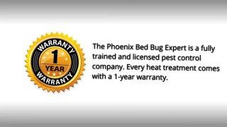 Apache Junction AZ Bed Bug Exterminator - 623-552-4815 _ Bed Bug Treatment
