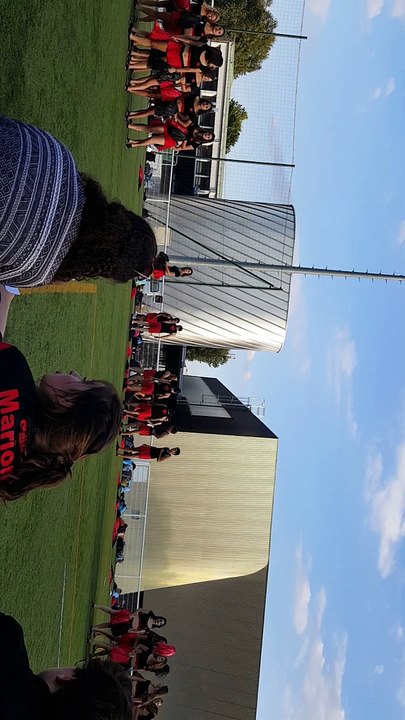 Pompoms ENSAT INPiades 2015