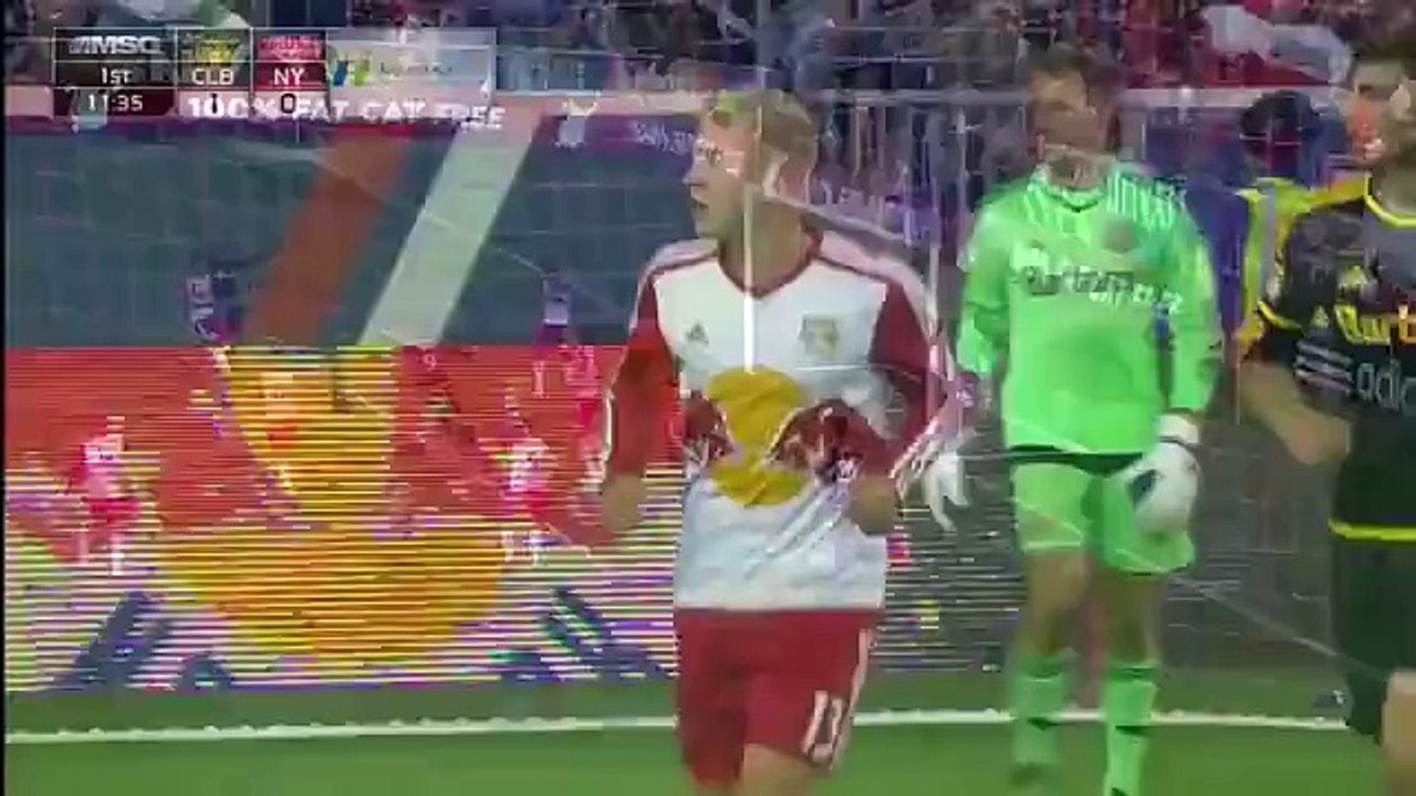 Highlights  New York Red Bulls 2-1 Columbus Crew
