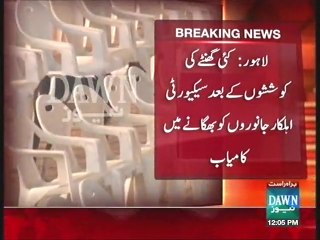 Animals entered in PTI venue