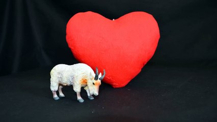 El Horoscopon de Capricornio, 1 º semana de octubre del 2015, Amor