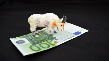 El Horoscopon de Capricornio, 1 º semana de octubre, Dienro y Trabajo