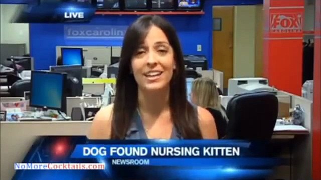 They Rescued This Dog From A Ravine, And You’ll NEVER Believe What She Was Hiding Down There.