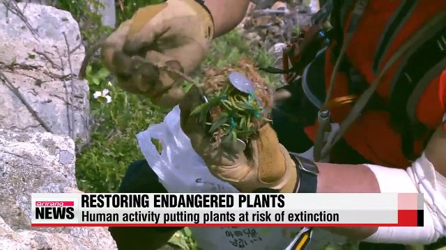 Korea National Park project aims to restore endangered plants