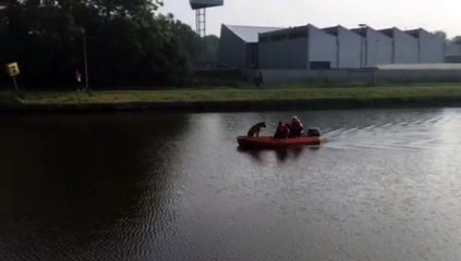 Beelden: Speurhond zoekt naar vermiste Eelderwolder op Noord-Willemskanaal - RTV Noord