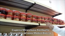 Ciuperca Miraculoasa Kombucha Disponibila pe MedicerBios ro