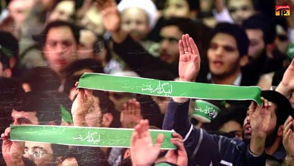 Labaik Ya Zainab-Mir Hassan Manqabat