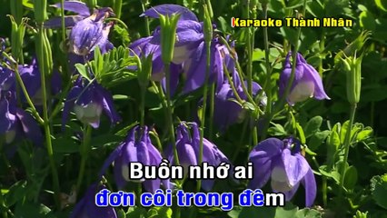 Nửa Vầng Trăng Remix - Đàm Vĩnh Hưng-Thanh Son HD (FuLL 1080p)