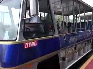 Enter To The 3 d World Very Amazing