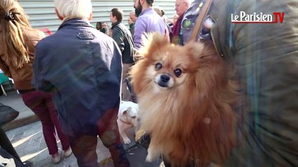 Dernière bénédiction pour les animaux à Ste Rita