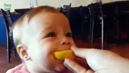 Babies Eating Lemons oh  Funniest Baby funny baby videos 2015