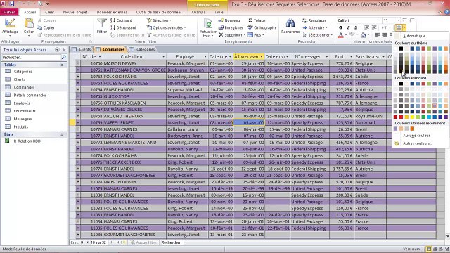 Access - Concevoir un Gestionnaire de Base de données (Module 5)