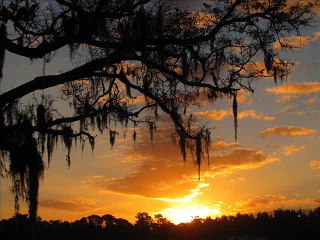 De Cave Man - Mind Frequencies (Original Mix)