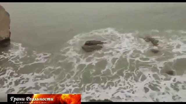 Настоящая русалка