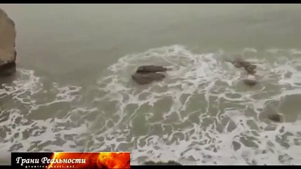 Настоящая русалка