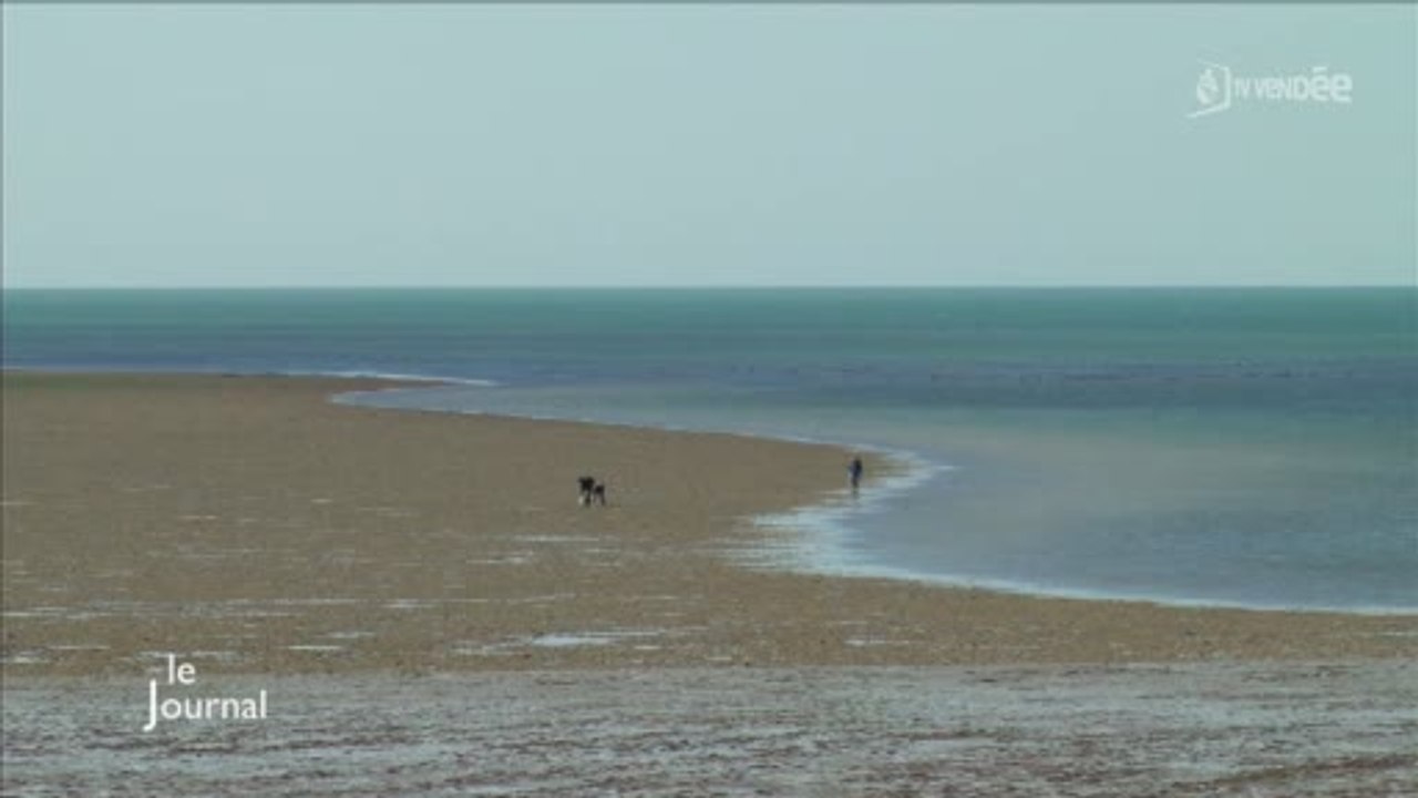 Marée : Découverte d'une légende à Notre-Dame-de-Monts