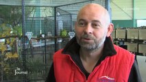 Championnat des oiseaux exotiques : Interview d’Alain Penaud