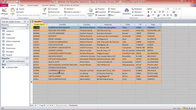 Access - Concevoir un Gestionnaire de Base de Données (Module 6)