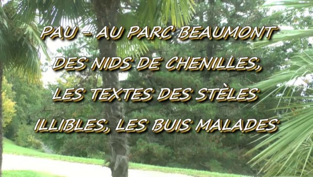 LES W-D.D. MICHOU NEWS - PAU - 4 OCTOBRE 2015 - PARC BEAUMONT DES NIDS DE CHENILLES - LES TEXTES DES STELES ILLISIBLES - BUIS MALADES.