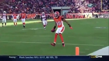 People are incredible creatures with lot of skills and unfear