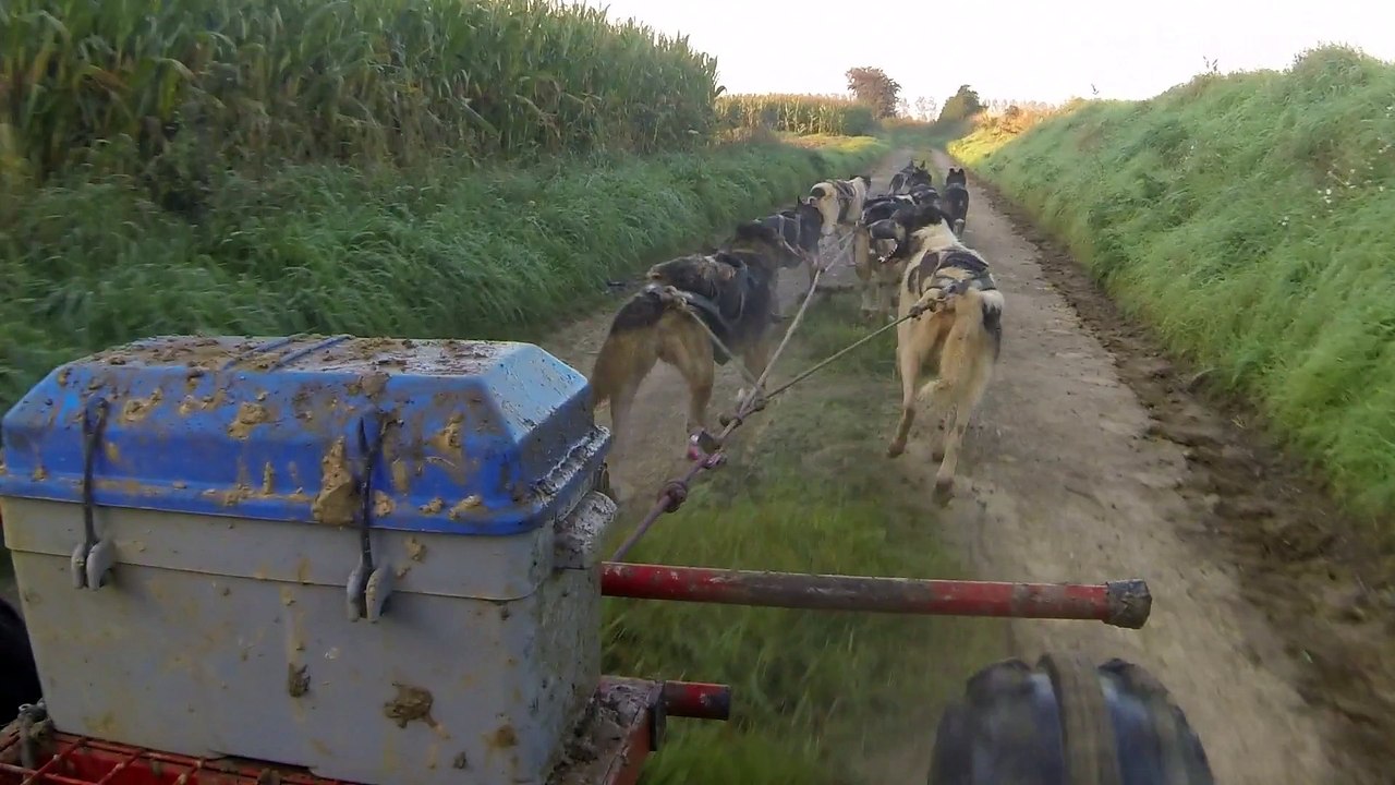 2015 Entrainement de début de saison sans la somme avec les norrland husky