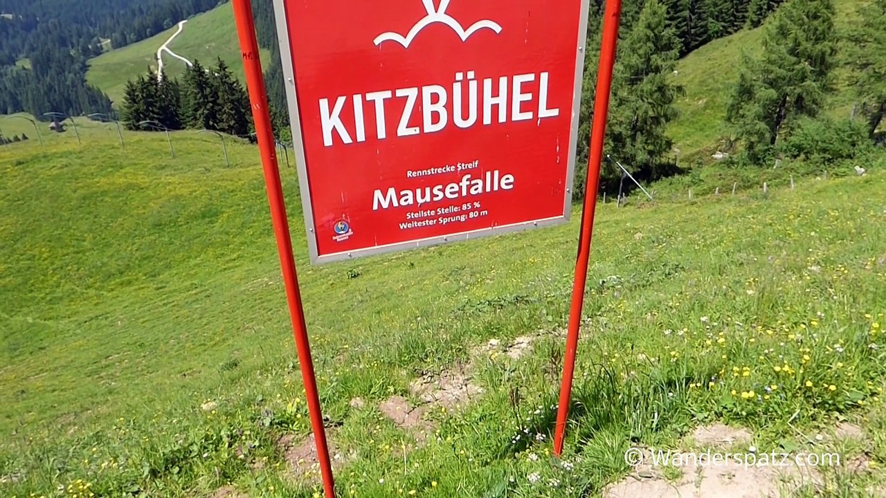 Wandern auf der Streif in Kitzbühel (Hahnenkamm-Rennen Österreich)
