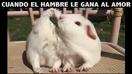 CUANDO ES HAMBRES ES IMPORTANTE QUE EL AMOR -.-!