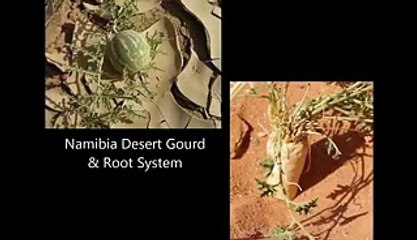 What Else Has Been Found on Mars Other Than Water