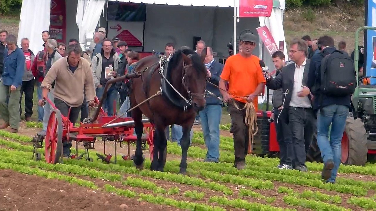 NeoBucher d'Hippotese en démo à Tech&Bio-2015