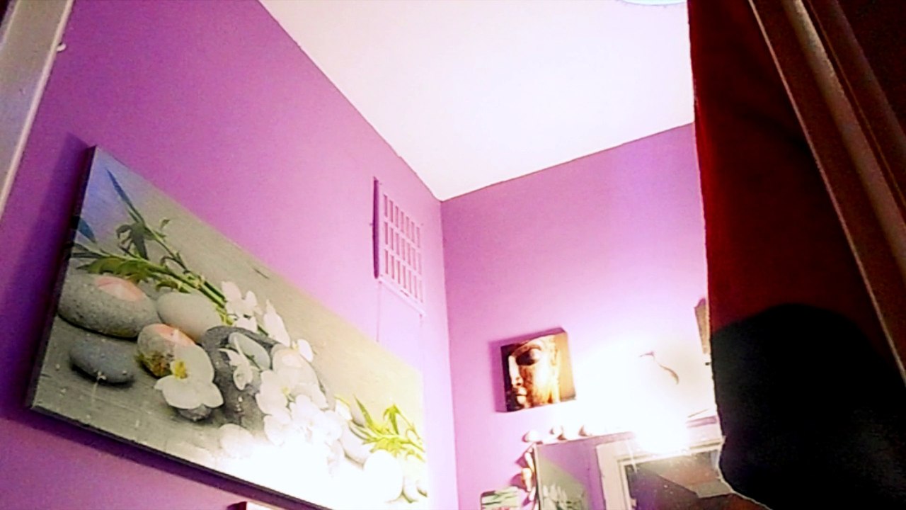 The Haunted Bathroom