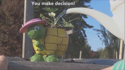 Art and Craft Projects for Kids - a Turtle out of Plastic Bottle