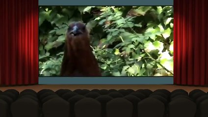 The Drawn Together S3 Ep06 Mexican't Buy Me Love