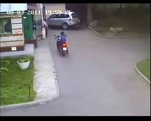 `ДЕВЧОНКИ ЗА РУЛЁМ! ЭТО НАДО ВИДЕТЬ!`