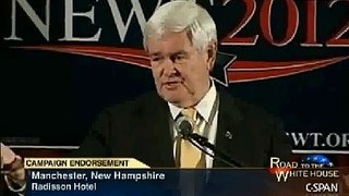 Newt: Obama's Community Organizing Wasn't Boys and Girls Clubs