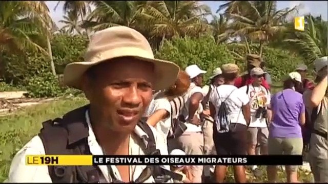 Les oiseaux migrateurs