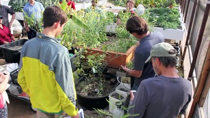 Commercial Aquaponics Course in Austin Texas 2015