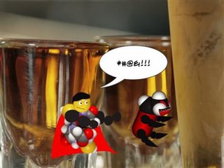 La gueule de bois enfin expliquée par la science