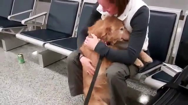 Les retrouvailles de cette militaire avec sa chienne sont bouleversantes. Attendez seulement de voir CETTE réaction.