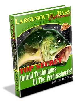 Large Mouth Bass Fishing Review + Bonus