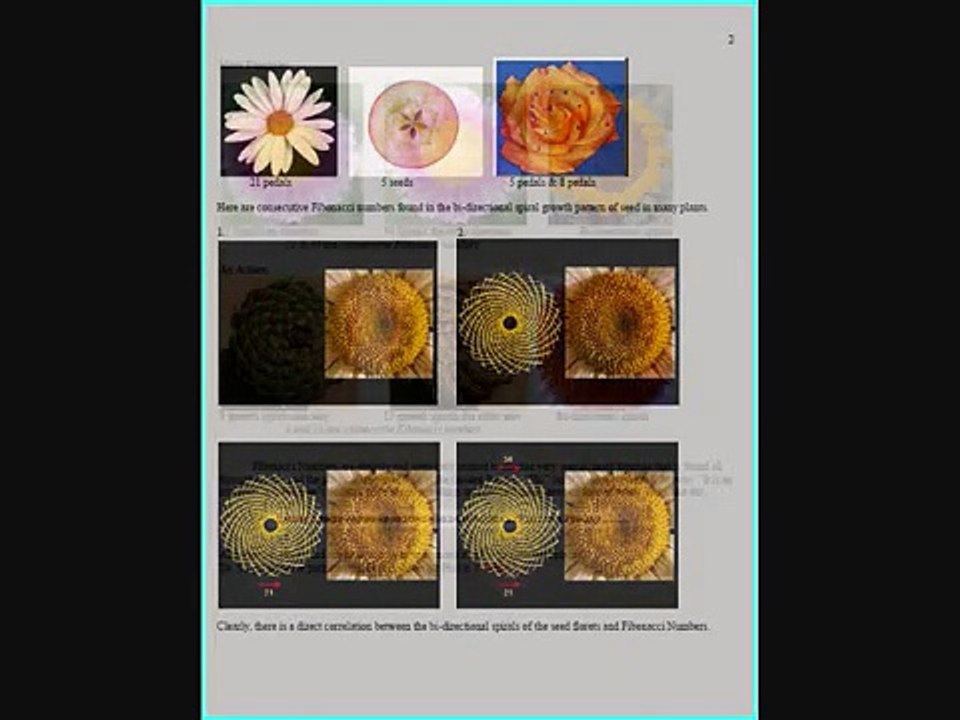 Code19 in Fibonacci.