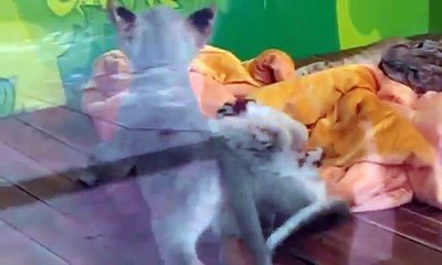 부산출장안마LTE【OIO】-【2165】-【2776】Bravo부산출장마사지