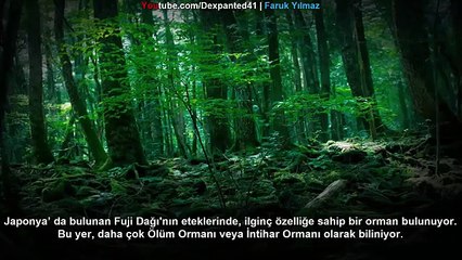 Paranormal Olaylar Yaşanan 5 Korkunç Yer