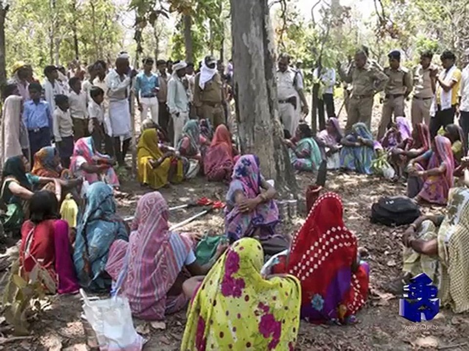 SDPI Report: Tackling Global Warming through REDD