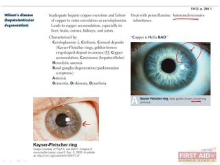 Gastrointestinal Pathology Part 6