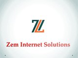 Website Design and Hosting Services by Zem Internet Solutions